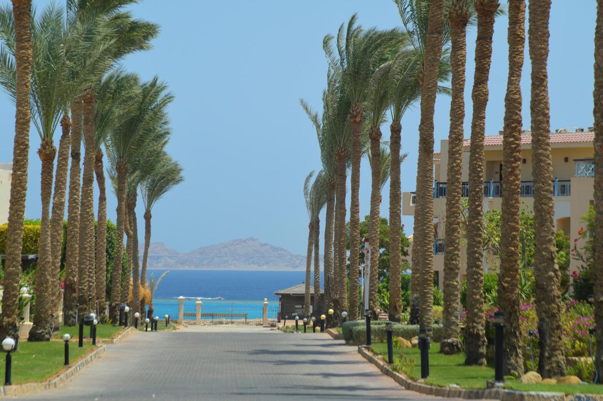 Ivy Cyrene Sharm Resort Adults Friendly Plus 13 Extérieur photo